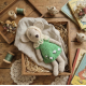 Crochet Mouse Pattern PDF with Clothes – Amigurumi Mouse and Wardrobe Set