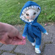Anime Rag Doll Sewing Pattern PDF – Doll with Shark Kigurumi
