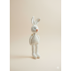 Crochet Bunny Pattern PDF – Vintage Amigurumi Rabbit with Movable Limbs